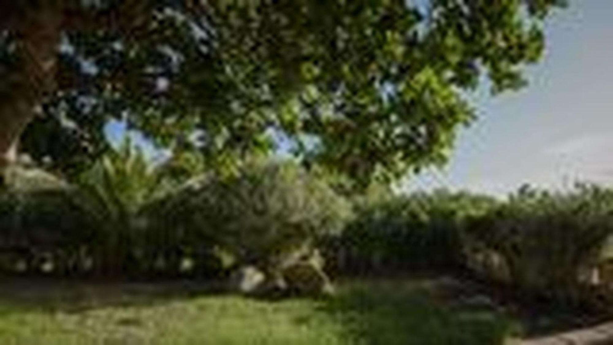 Welcomely - Villa Adele Costa Rei Buitenkant foto