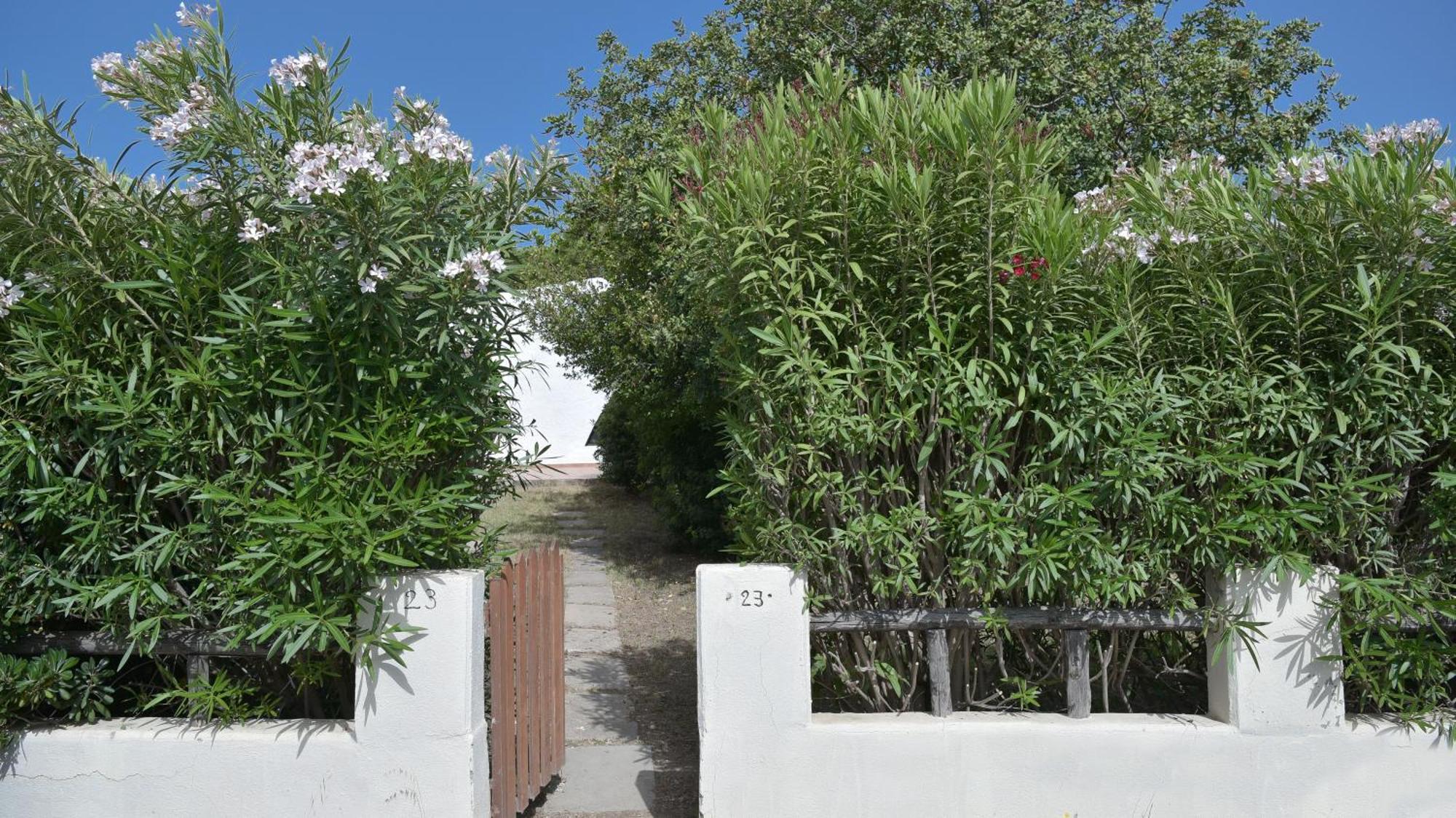Welcomely - Villa Adele Costa Rei Buitenkant foto